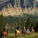 Horseback Riding/Adventures
