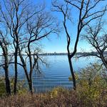 Picnic Point Walk