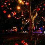 Jack O' Lantern Experience at Skylands Stadium