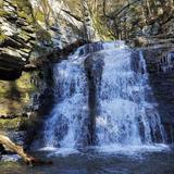 Russell Brook Falls (25 mins)