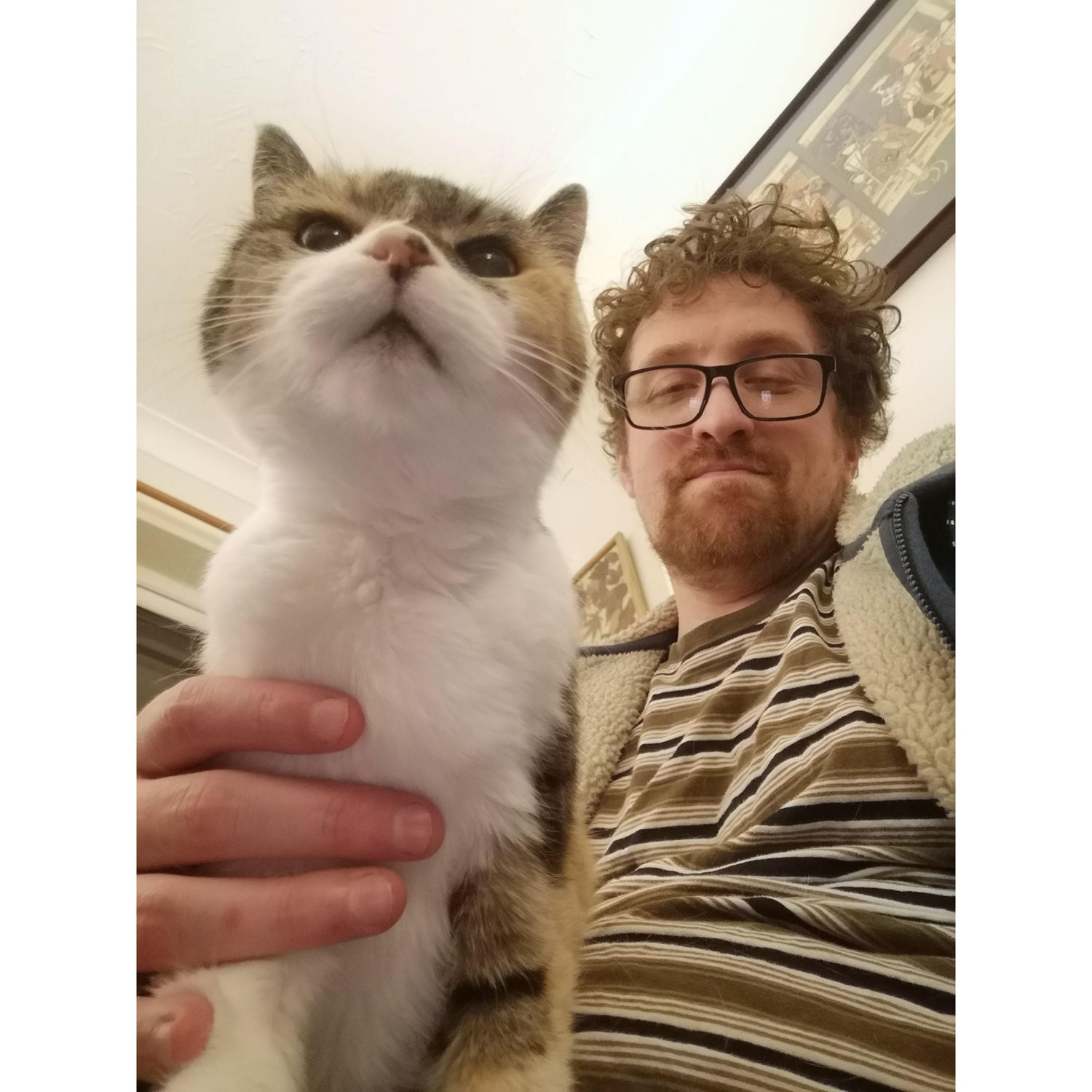 Attack Pebz