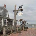The Black Dog Tavern