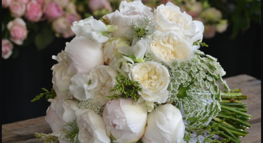 Footer image
