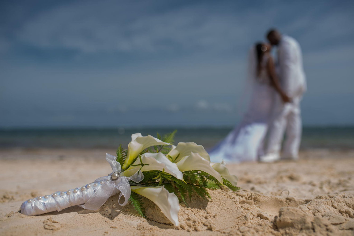 The Wedding Website of Dr. Jasmien Lewis and Aaron Lewis