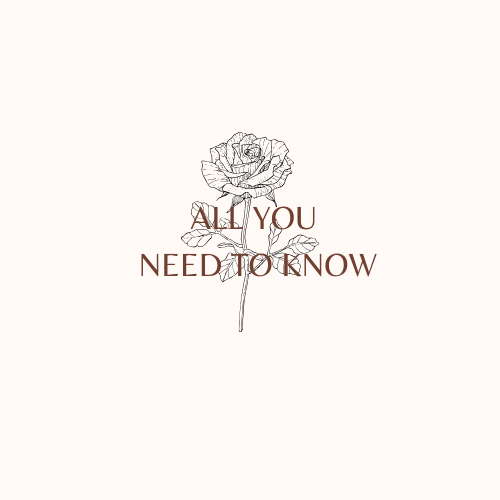 The Wedding Website of Lela Ali and Omar Alhakeem