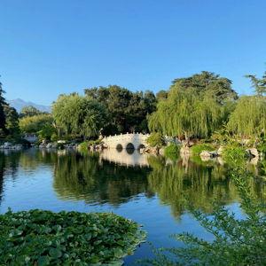 Membership to the Huntington Gardens