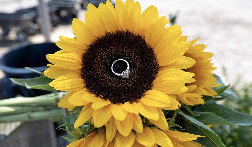 The Wedding Website of Jeffrey DiLorenzo and Jillian Raimondi