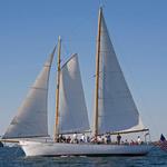 Newport Classic Cruises Bannister's Wharf