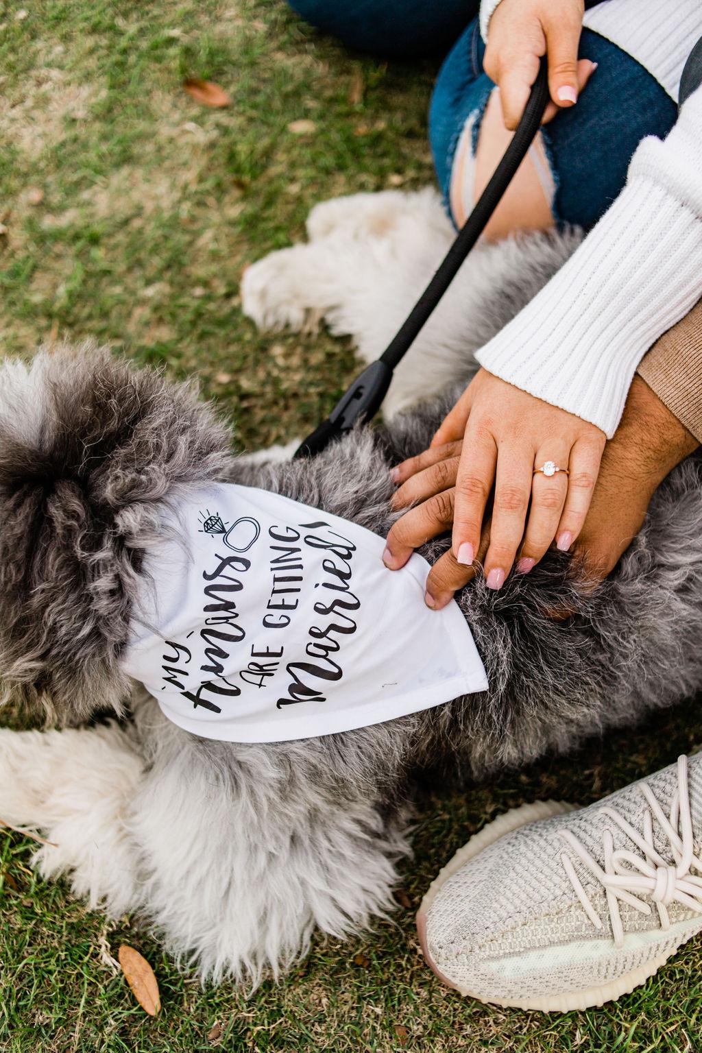 The Wedding Website of Katie Holt and David Reith