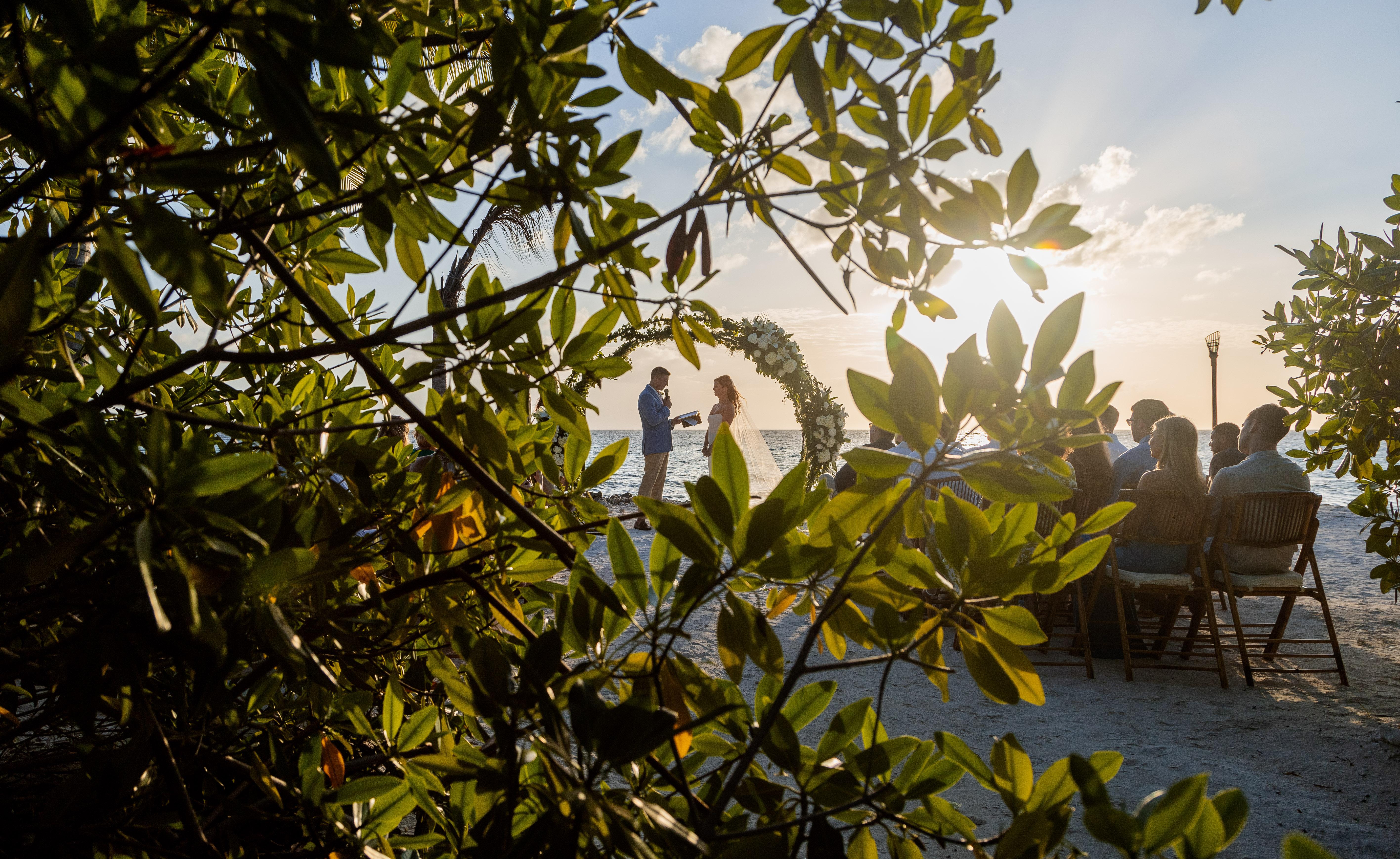 The Wedding Website of Jake Stein and Lexi Macaluso