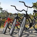 Alligator Island Bike Rentals - FREE!