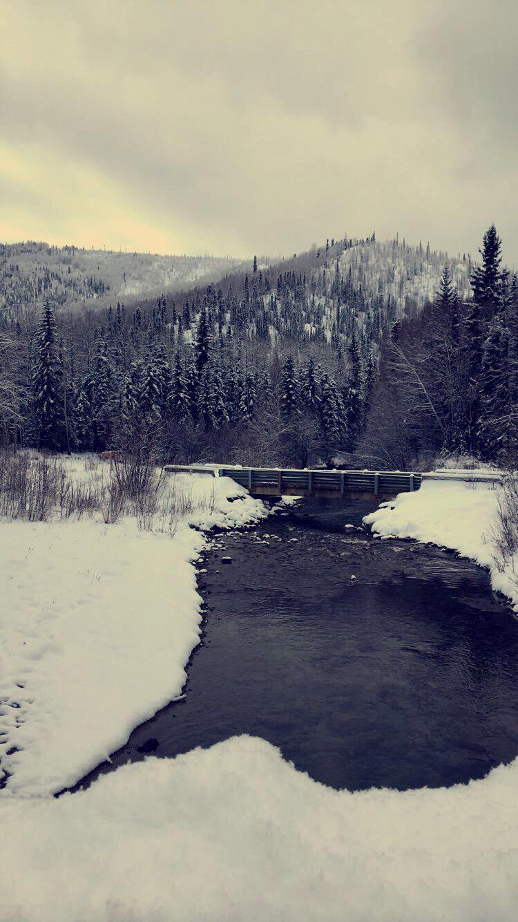 Alaska scenery