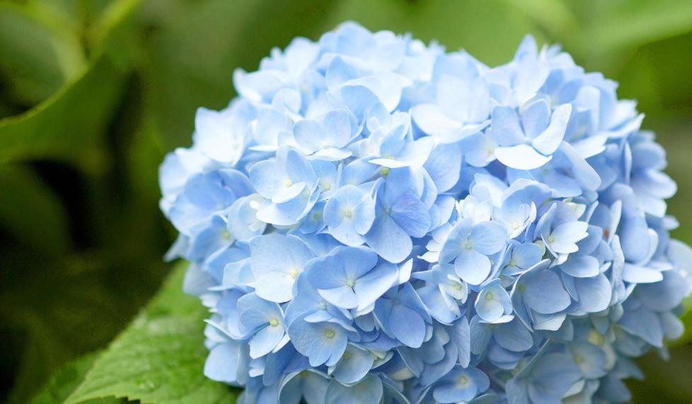 The Wedding Website of Elizabeth Brown and Tyler Colon