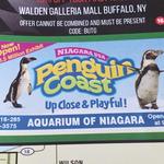 Aquarium of Niagara