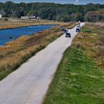 Drive through Forsythe Wildlife Refuge Center