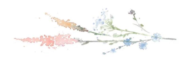 The Wedding Website of Stacey de Molitor and Johnny Mullally