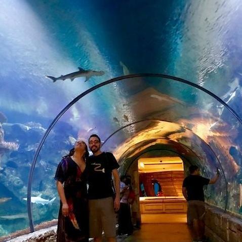 Shark Reef Aquarium at Mandalay Bay.