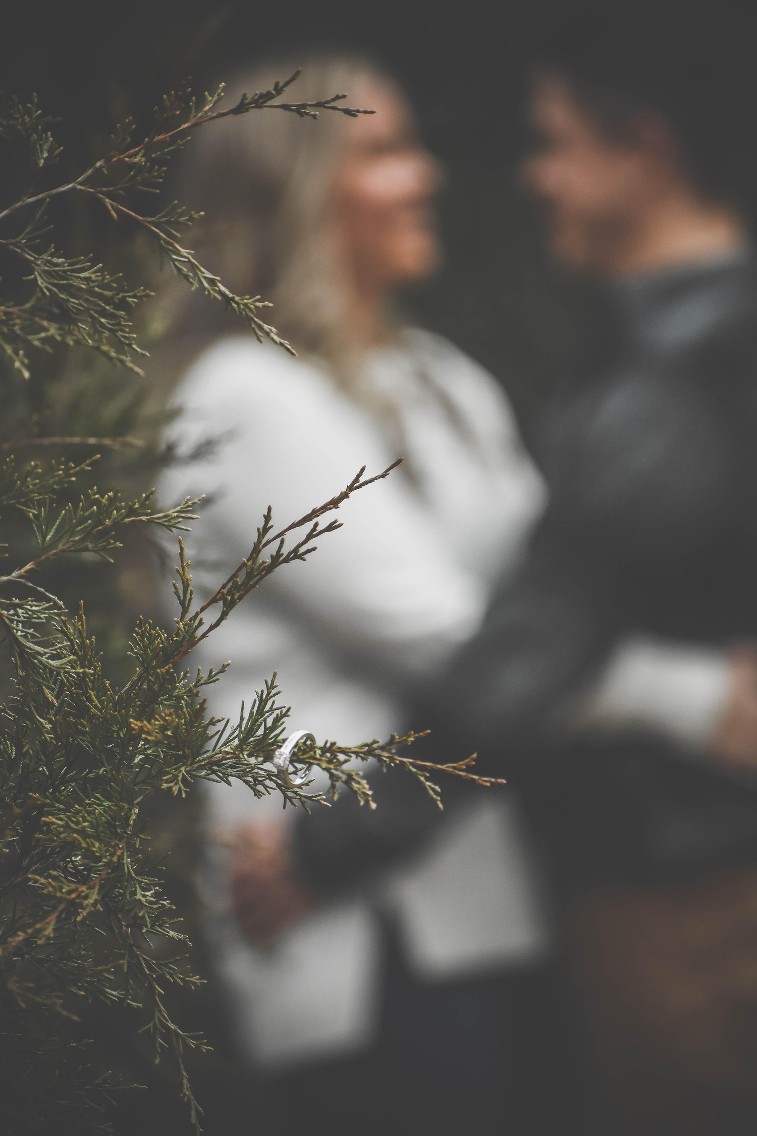 The Wedding Website of Heather Tinkle and Andrew Otero