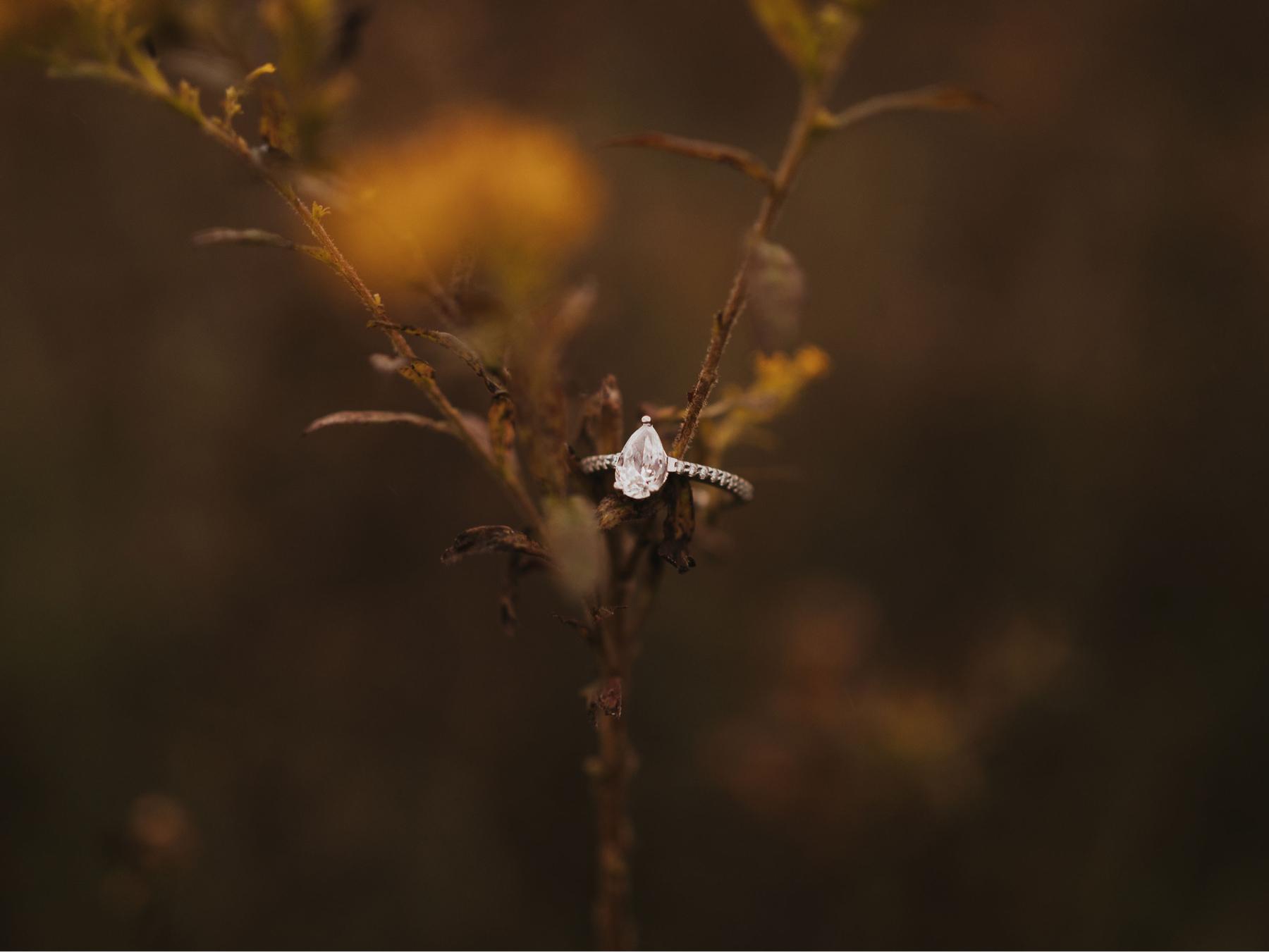 The Wedding Website of Kayla Uphold and Shaun Kessler