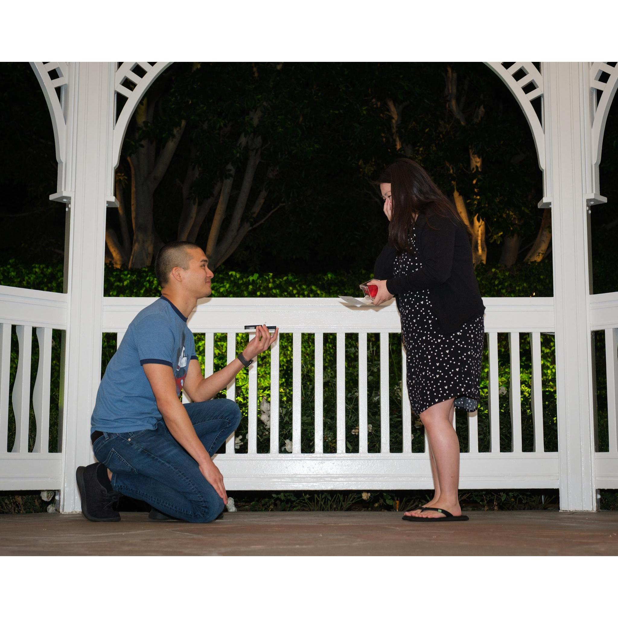 The proposal