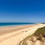 les conches des baleines