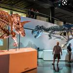 Houston Museum of Natural Science