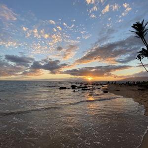 Honeymoon in Maui