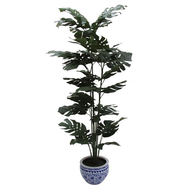 W Home 60-Inch Split Philo Tree in Round Blue/White Ceramic Pot