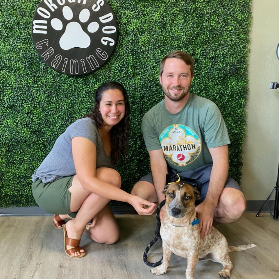 Charlie is an obedience school grad :)