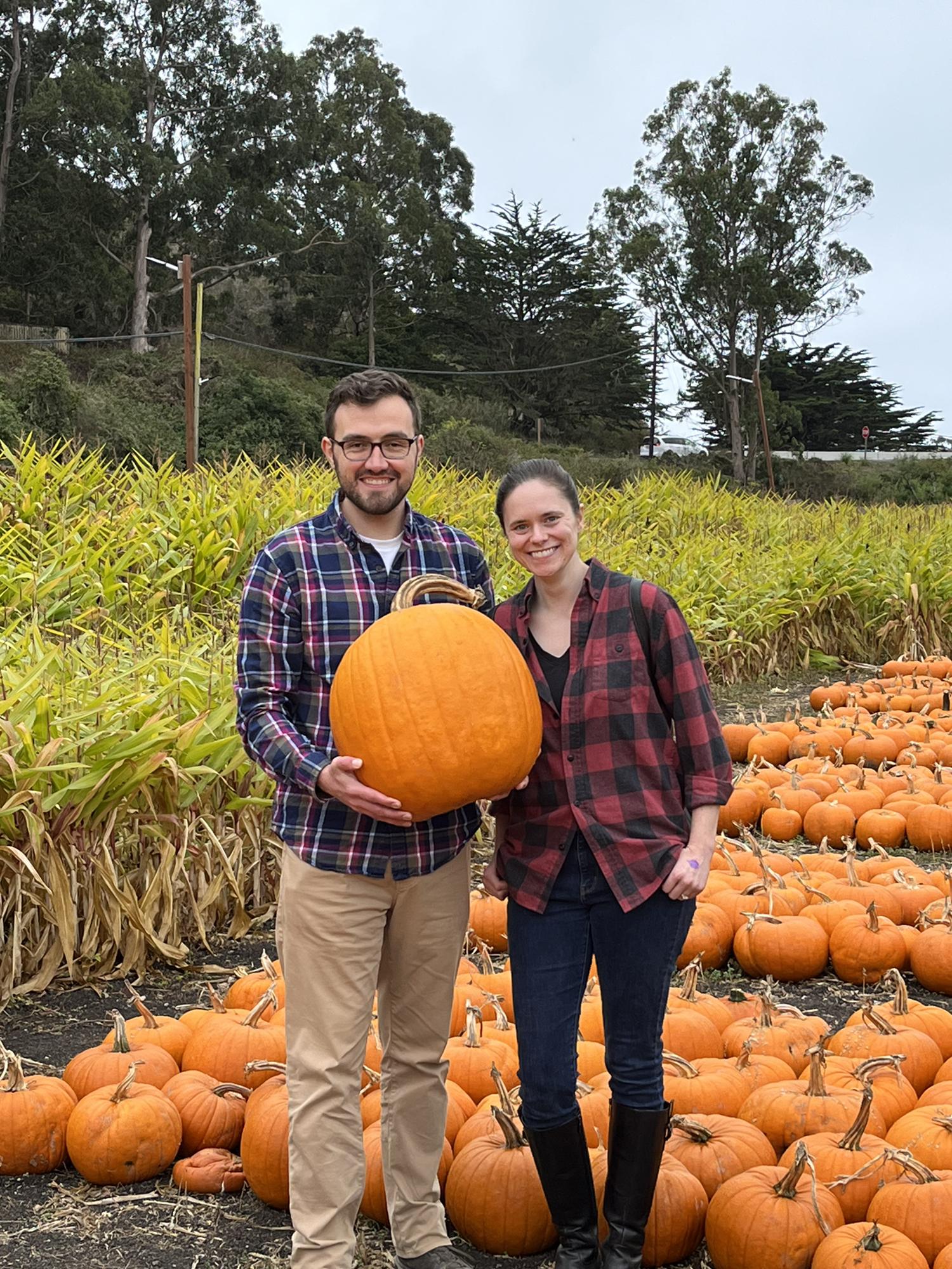 Arata’s Pumpkin Fair, Halfmoon Bay, CA