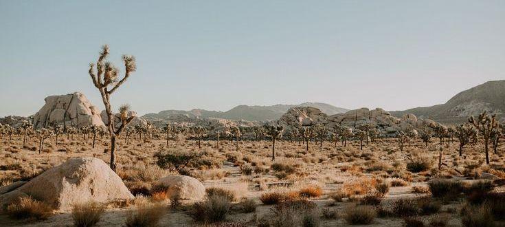 The Wedding Website of Jessie Mires and Kevin Lillicrop