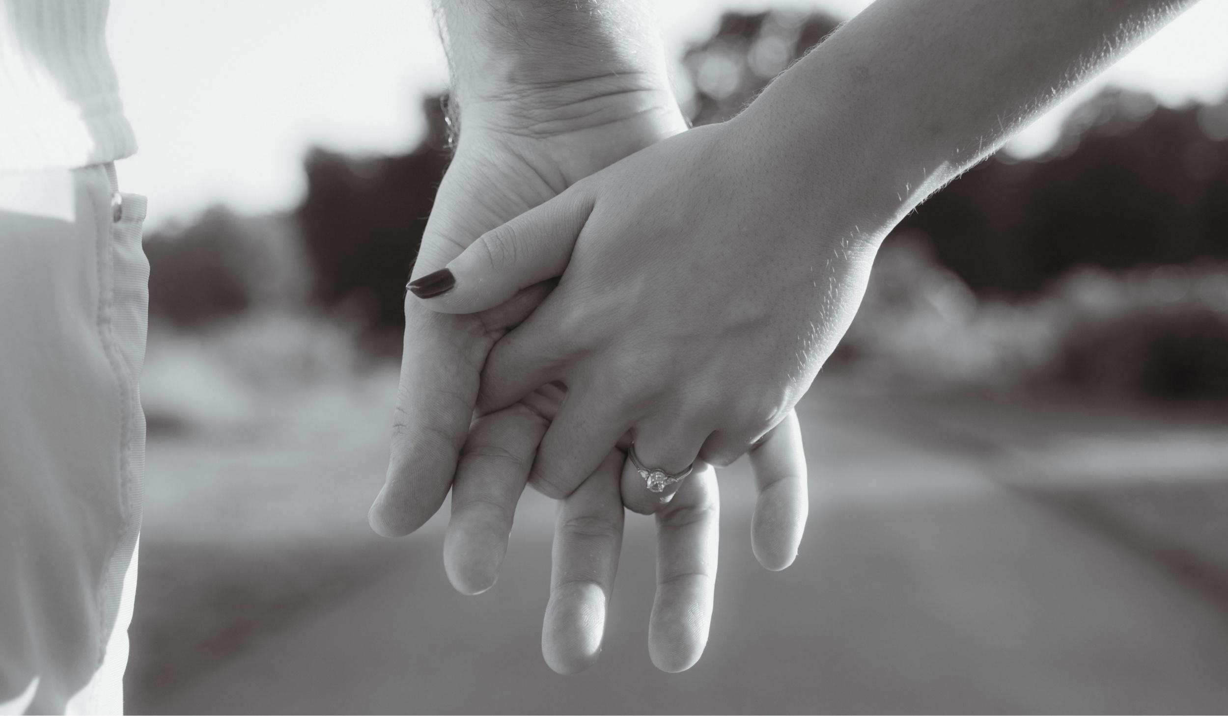 Hero Slideshow Image 3