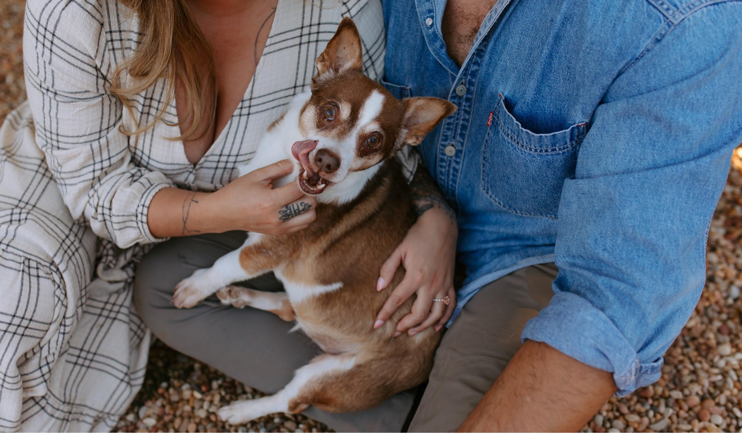 The Wedding Website of Sarai Gutierrez and Sakri Kmimech