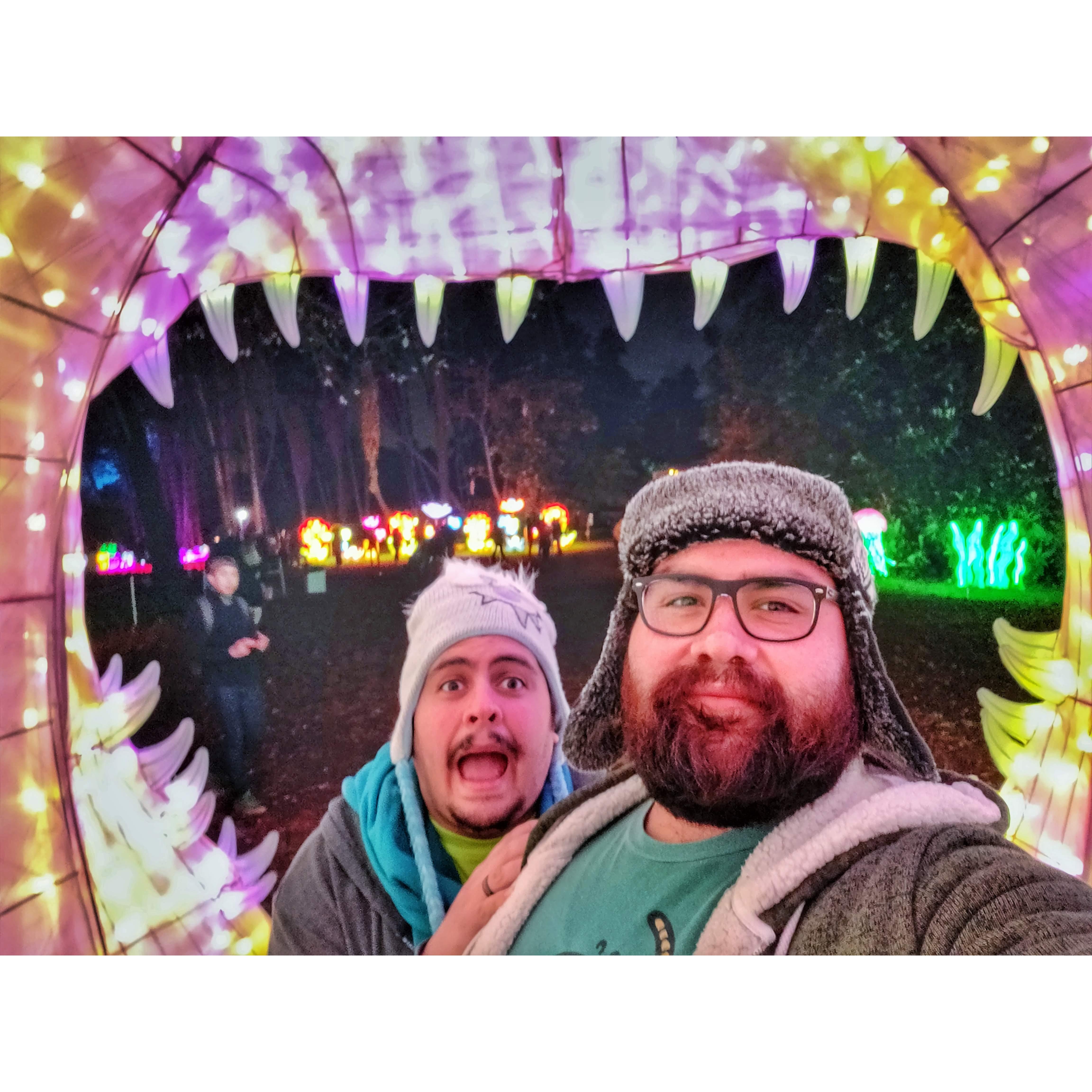 Getting eaten by an electric shark