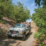 Malibu Wine Safaris