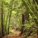 Jack London State Historic Park