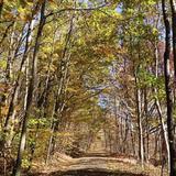 Ernst Trail