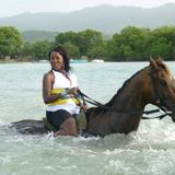 Oceanside Horseback Riding