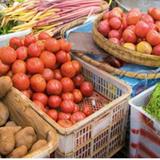 Downtown Markets/Farmers Markets