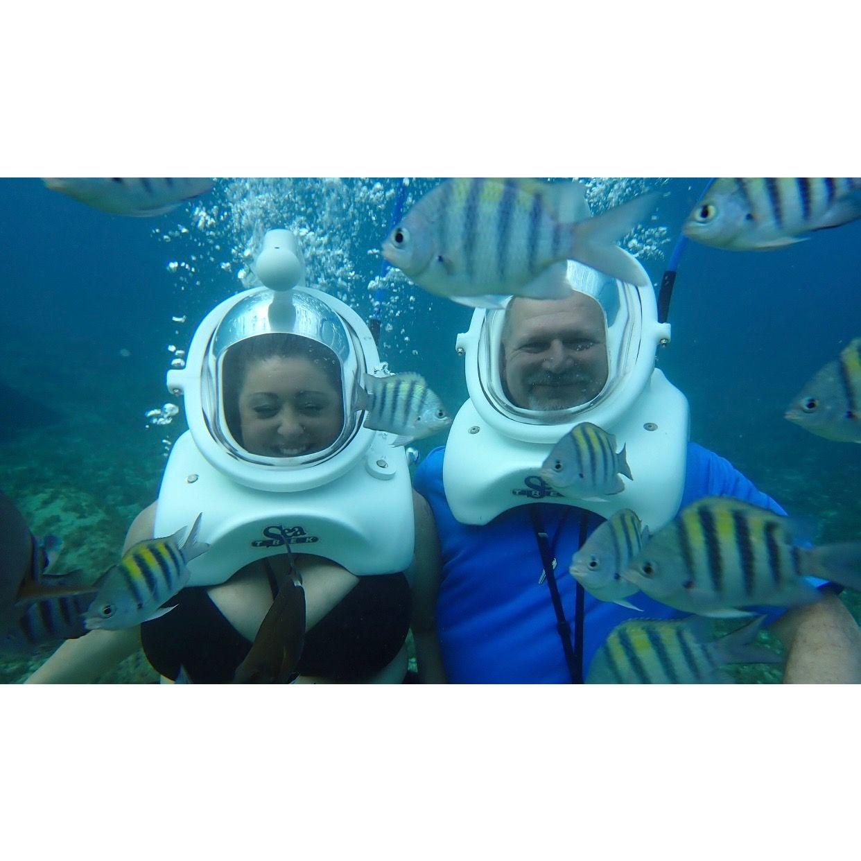 January 2024 Cozumel, Mexico