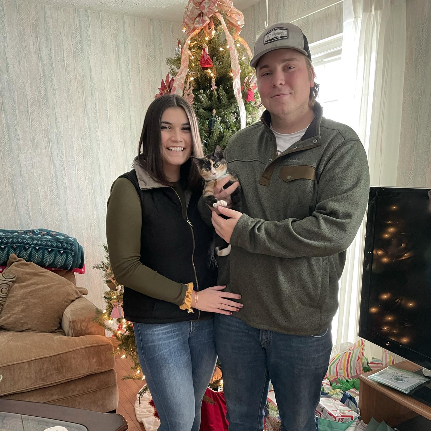 We got a cat! Her name is Athena, also known as Tina. We love her.