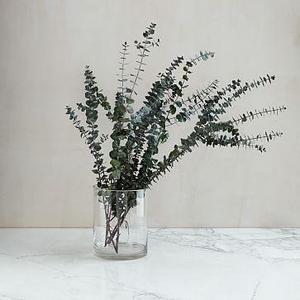 Eucalyptus Bundle - Baby