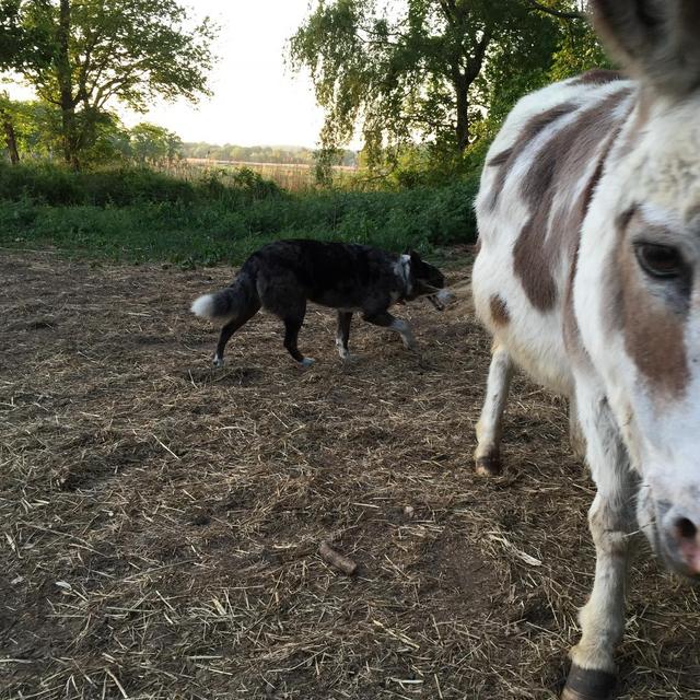 Farm Improvements!