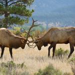 Rocky Mountain National Park