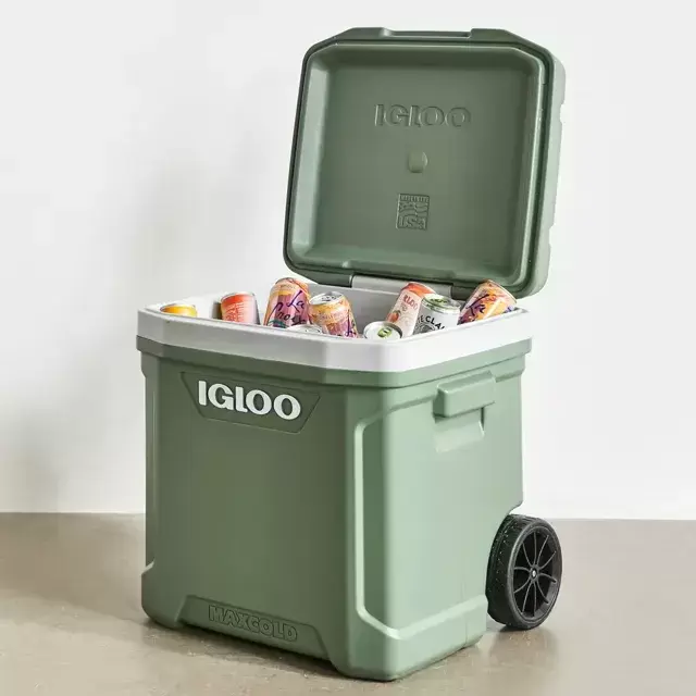 Igloo Eco 60-Quart Cooler