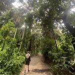 Walk through the Botanical Gardens in Rio