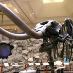 Midland Center for the Arts