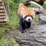 San Diego Zoo