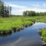 Bearskin Trail