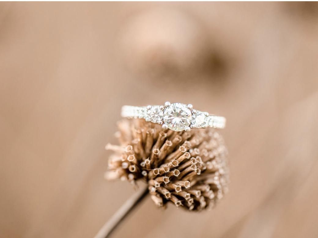 The Wedding Website of Alyssa Freije and Alexander Holbrook